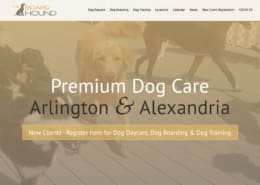 Dog Boarding Website Design - The Board Hound Website - Welcome