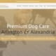 The Board Hound Website 13 Dog Boarding Website Design - The Board Hound Website - Welcome
