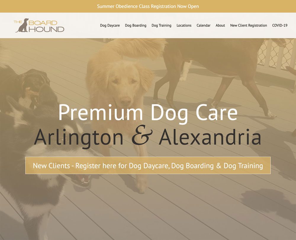 Dog Boarding Website Design - The Board Hound Website - Welcome